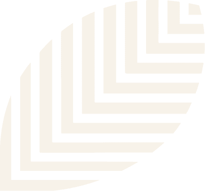 bg-footer