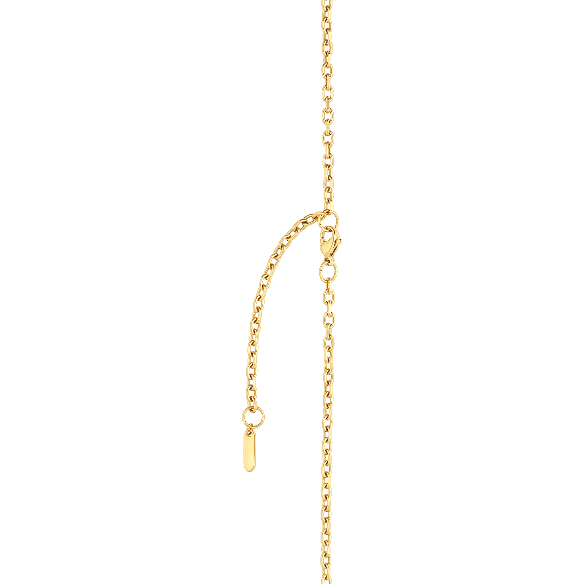 3597390314598_5.png