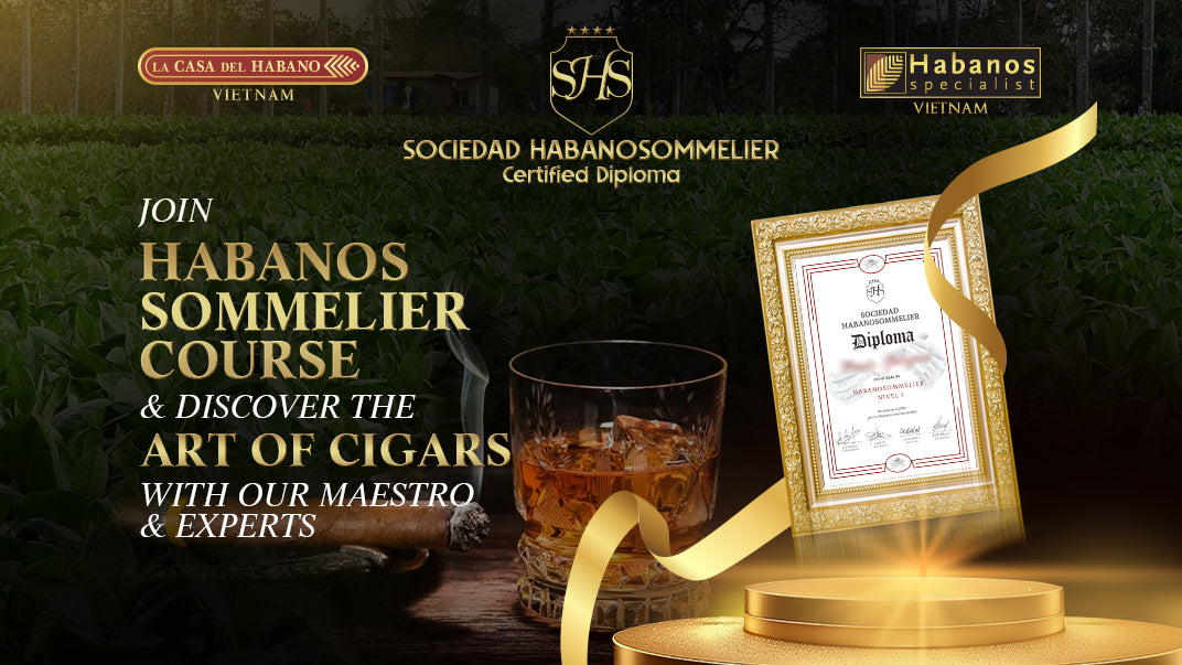 Trải nghiệm đẳng cấp: Khóa học Habanos Sommelier - Hành trình chinh phục đỉnh cao hương vị