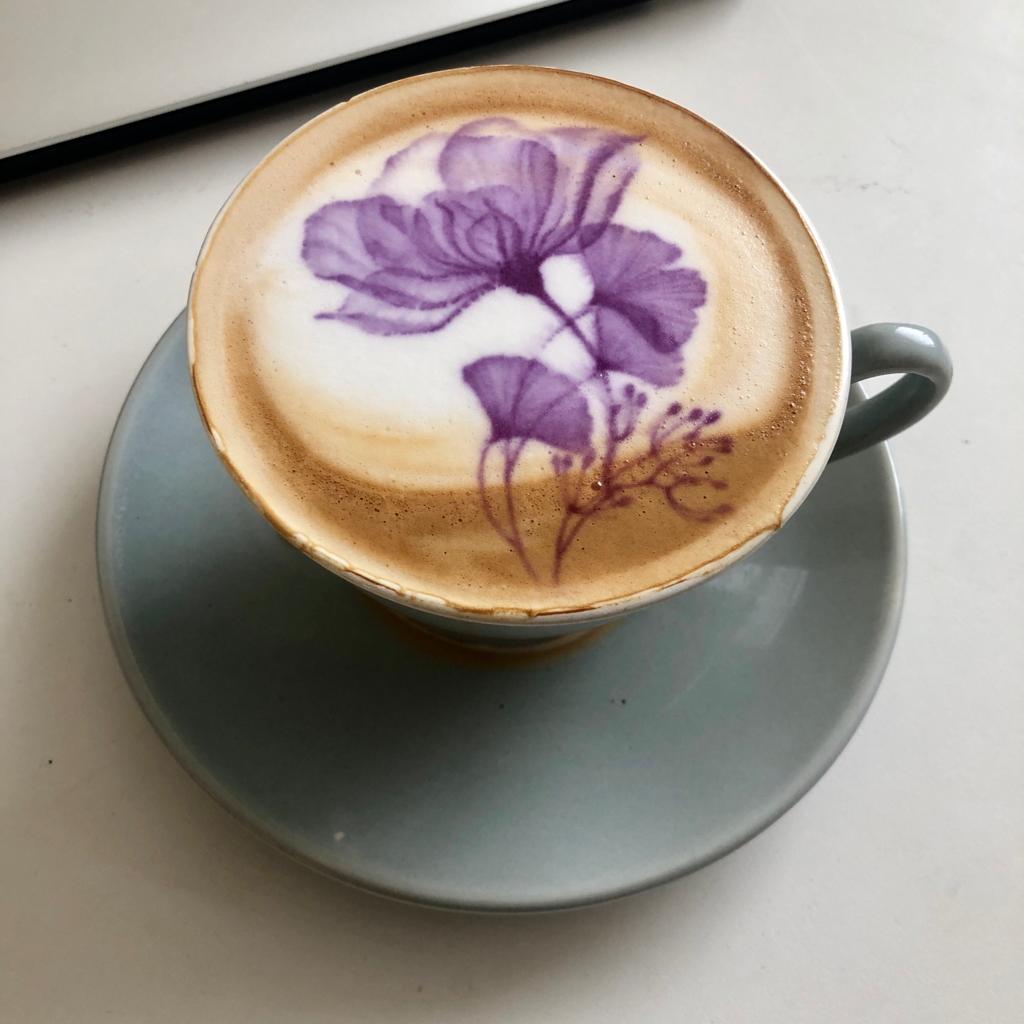 Habanos Specialist Vietnam ACCESSORIES Ripple Bắp Cải Tím Pod